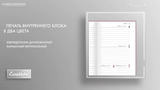 Еженедельник Датированный Карманный Вертикальный арт 47449 смотреть онлайн