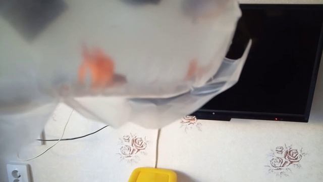 В Пермь и Тверь доехали. смотреть онлайн