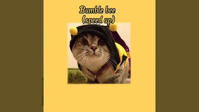Bumble bee(speed up)♡ смотреть онлайн