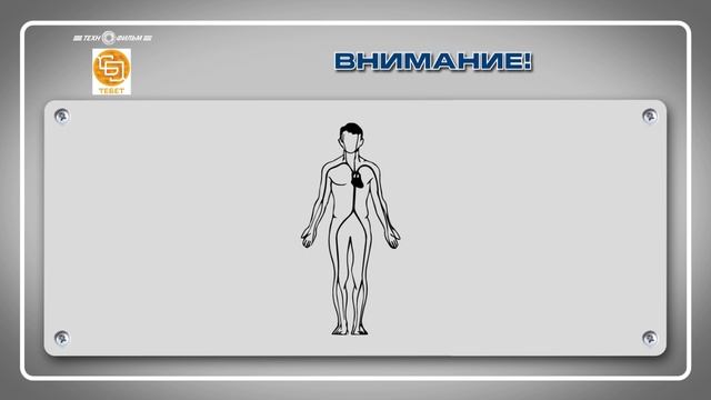 2 Оказание первой помощи пострадавшим
