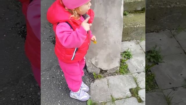 Котяра. Зверь. смотреть онлайн