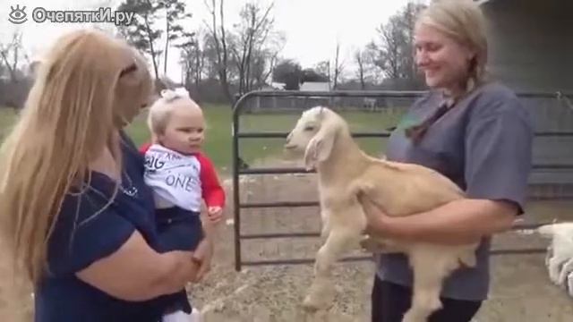 Девочка общается с козлёнком смотреть онлайн