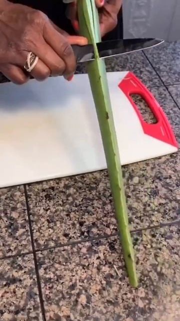 How To Cut An Aloe Vera Leaf смотреть онлайн