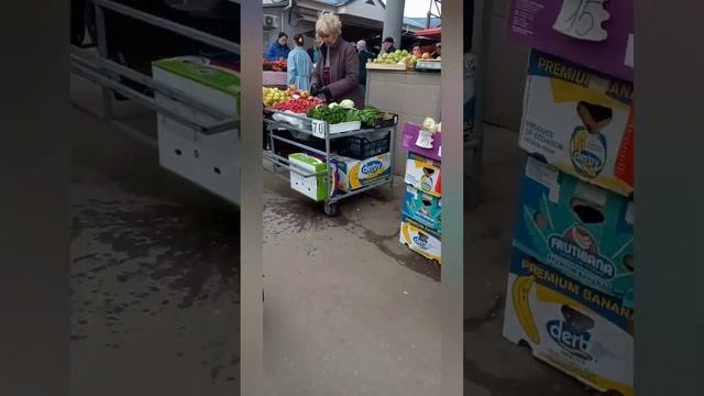 Миссия "посадить КАРТОШКУ" продолжается. 😁 #молдова #огород #базар смотреть онлайн