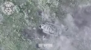 Оператор дрона дождался высадки десента ВСУ и сделал удачный сброс