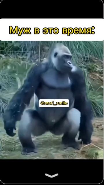 #юмор #blogger #смех #любовь #семейнаяжизнь #семья смотреть онлайн