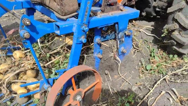 Копаем картошку мотоблоком картофелекопалкой вибрационной ККМ-1 смотреть онлайн