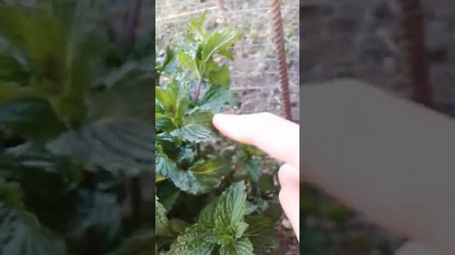 Fantastic Fitness Finds