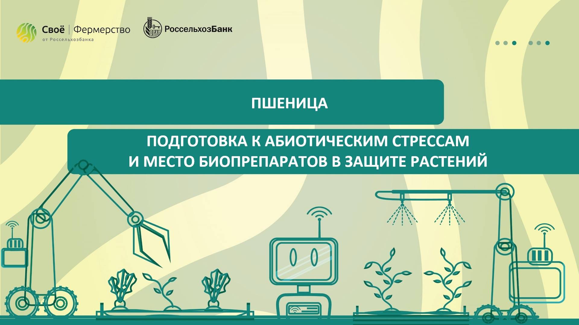 Пшеница: подготовка к абиотическим стрессам и место биопрепаратов в защите растений смотреть онлайн