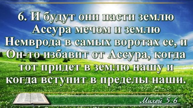 ВидеоБиблия Книга пророка Михея без музыки глава 5 Соколов смотреть онлайн
