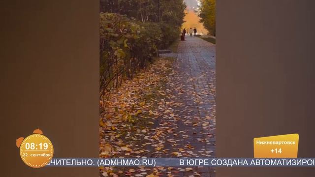 Югорскую белку заметили в магазине орехов смотреть онлайн