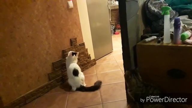 Лайфхак для ленивых смотреть онлайн