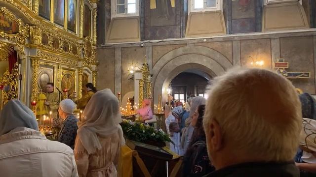Божественная Литургия в неделю всех святых смотреть онлайн