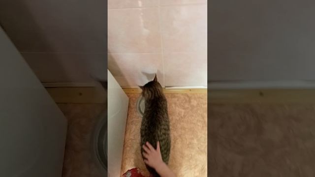 Шлема завтракает смотреть онлайн