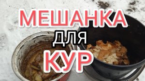 Как сделать мешанку для кур-несушек