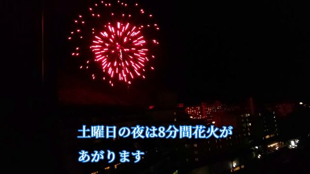 ポメラニアン　きらチャンネル 96【旅行】栃木県　鬼怒川温泉へ行ってきました смотреть онлайн