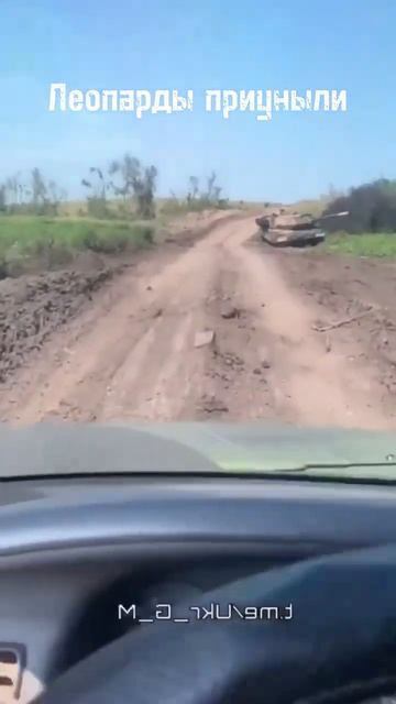 #Леопарды решили приуныть. смотреть онлайн