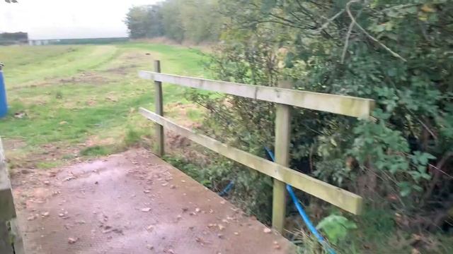 Organic Blooms virtual tour смотреть онлайн