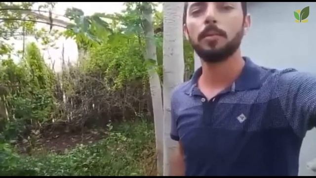 FALA PROCASE - CÍCERO DIAS, BENEFICIÁRIO DO PROCASE смотреть онлайн