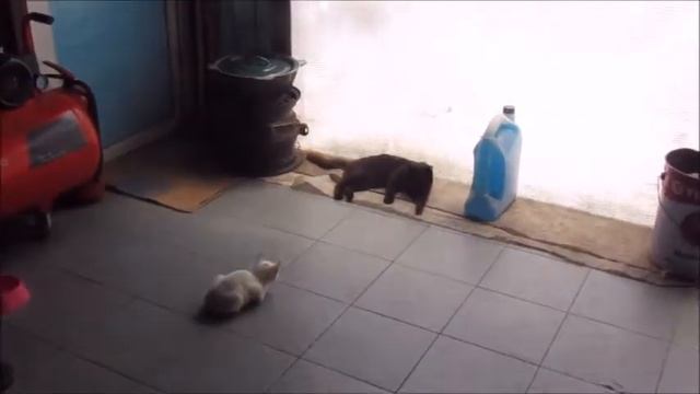 Когда на улице жара смотреть онлайн