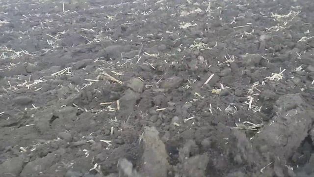 Пахота т150 Г і т150 к