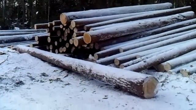 Заготовка зимнего вятского леса.avi смотреть онлайн