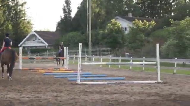 Typhoon e. Taipan Dankka trening смотреть онлайн