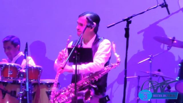 La pantera Rosa Imperial Band en Vivo смотреть онлайн