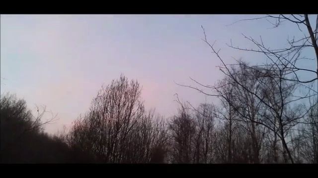 Открытие  охоты на вальдшнепа апрель 2023г.