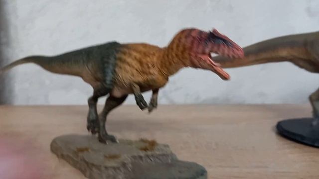 Сравнение размером Аллозавра от Showanna Studio с Аллозавром/заурофаганаксом от Pnso и перекрас)