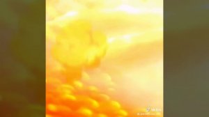 Эдит на Воробья