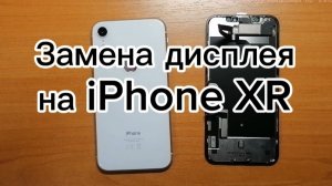 Замена дисплея на iPhone XR
