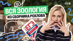 Все задания по зоологии из сборника В.С. Рохлова | Ксения Напольская