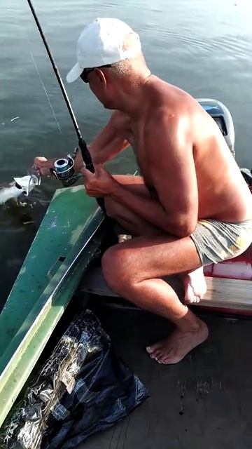 Жерех в сентябре!!! Ловля на бородки!!!👍🐐🐬🐎 смотреть онлайн