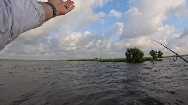 Best Fishing In Six Years! (Catch & Cook)