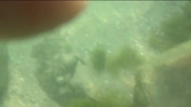 обзор екшен камеры 2 смотреть онлайн