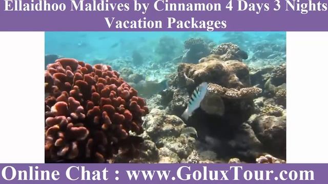 Ellaidhoo Maldives by Cinnamon 4 Days 3 Nights Vacation Packages смотреть онлайн