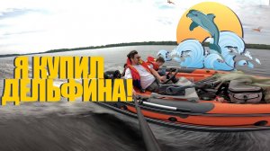 ЖЕНЮ ЛОДКУ С МОТОРОМ! КАК БОРОТЬСЯ с ДЕЛЬФИНОМ? Петух в лодке! Кобра лодки! Лодка роет!