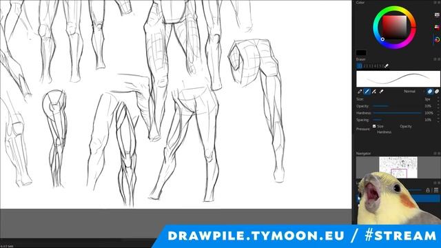 Anatomy Practise смотреть онлайн