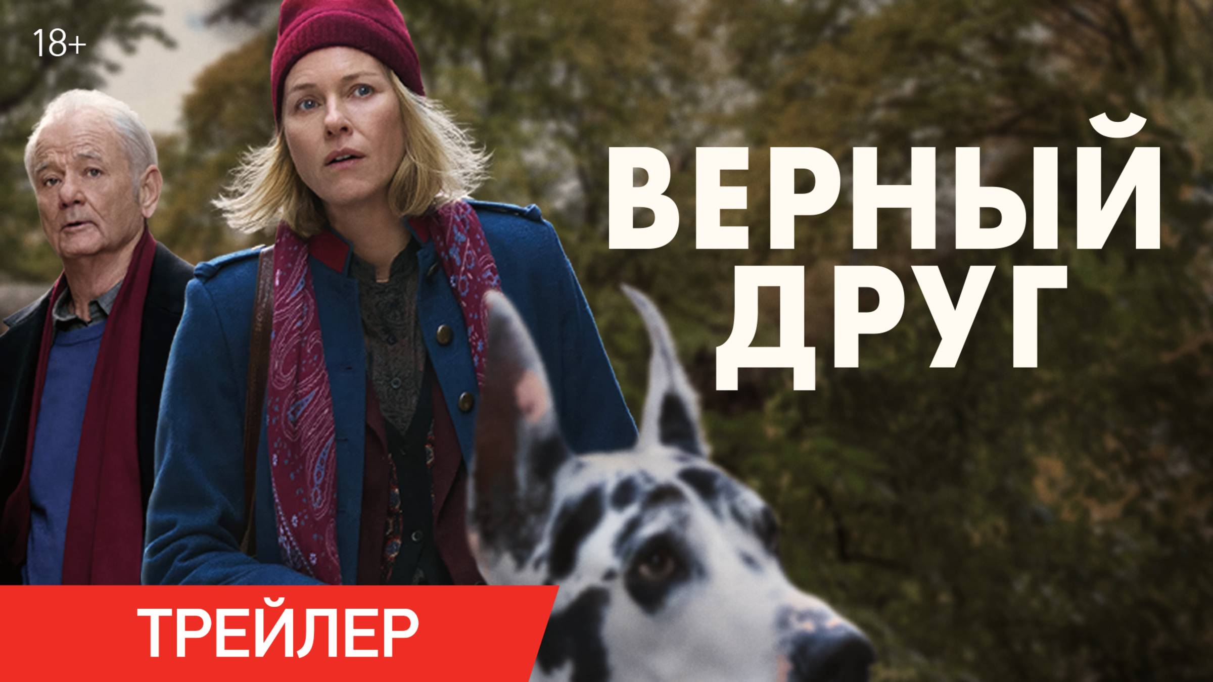 Верный друг | Трейлер | В онлайн-кинотеатрах с 18 июня смотреть онлайн