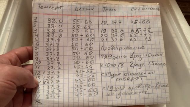 Утро в курятнике_ 16 день инкубации ряба 36_ 23 марта 2025 года смотреть онлайн