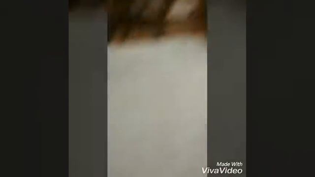 Моли породие клипа!! смотреть онлайн