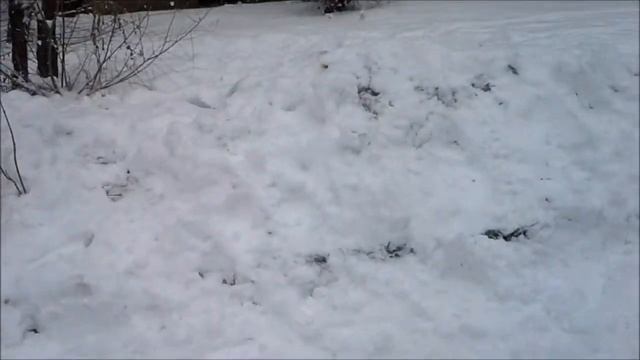Фильм про Зомби-1 серия смотреть онлайн