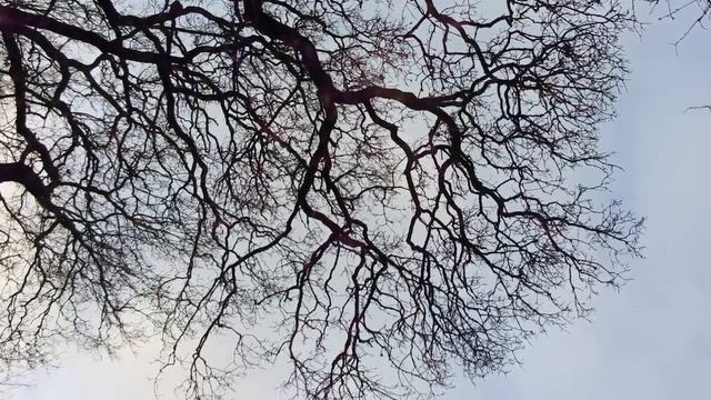 Внешние миры, внутренние миры. Часть 2. Спираль смотреть онлайн