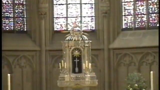 Dom смотреть онлайн