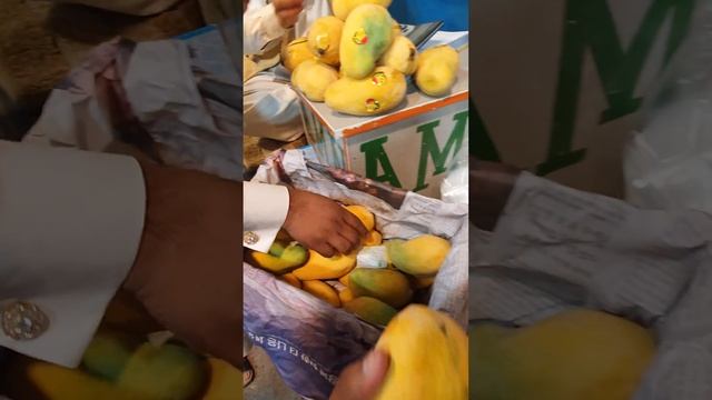 Premium export Quality sindhri mango | mango mandi islamabad | daily fruits update | смотреть онлайн