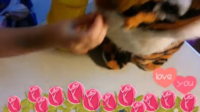 мирра кормит тигра смотреть онлайн