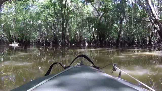 Shawn's "Painless" River Tour - Dual Mokai Adventures on the Altamaha смотреть онлайн
