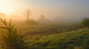 Над-долиной-расстилается-туман_80.mp4