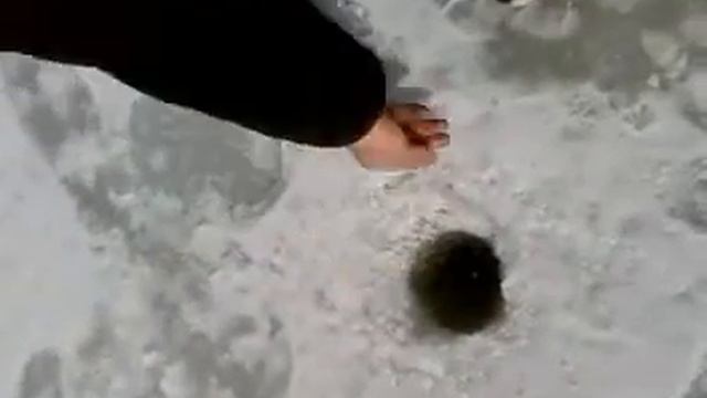 сопливый на свободу смотреть онлайн